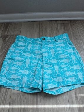 Aqua Fish Print Mens Shorts